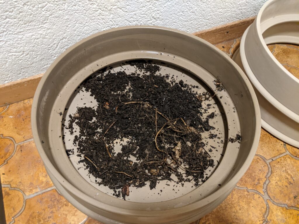 Blumenerde als Fundament