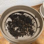 Blumenerde als Fundament