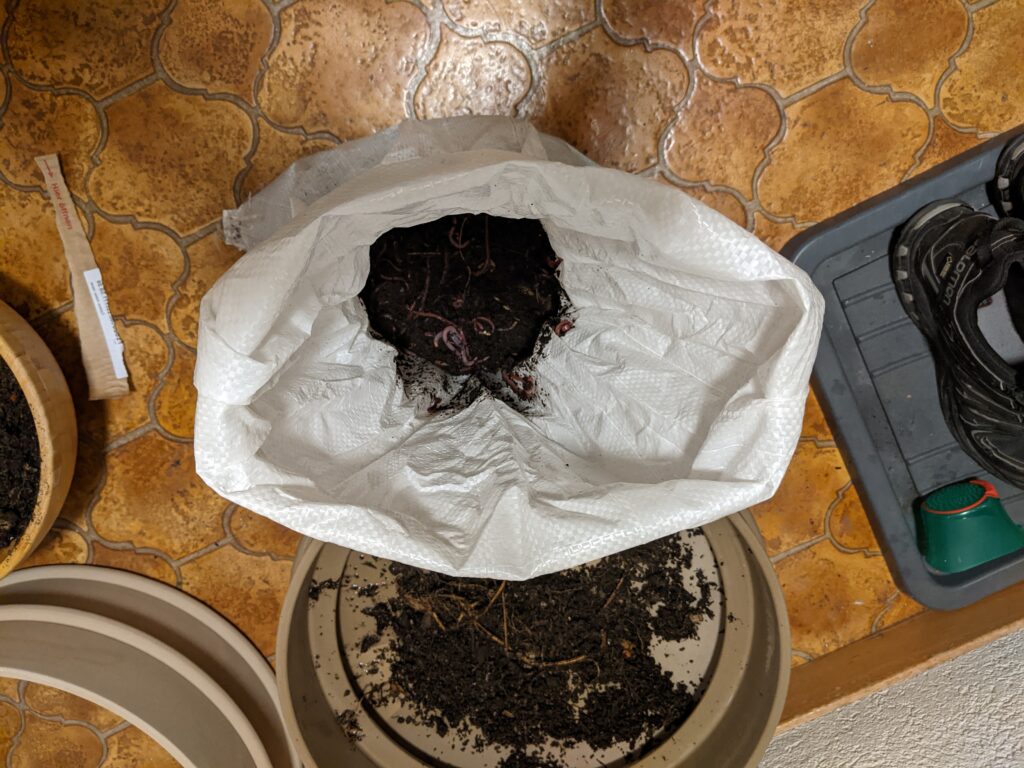 Ein Sack voller Würmer geöffnet